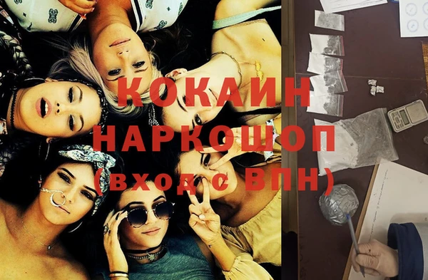 сатива Магадан
