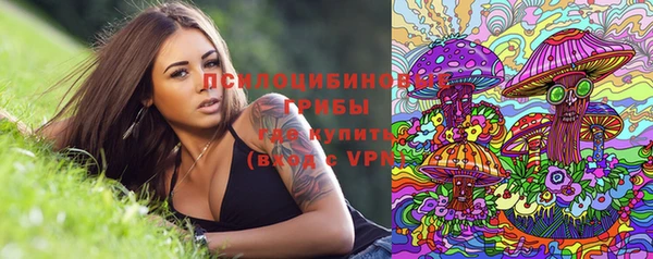 сатива Магадан