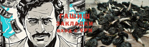 гидропоника Абаза