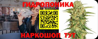 кокс Шелехов
