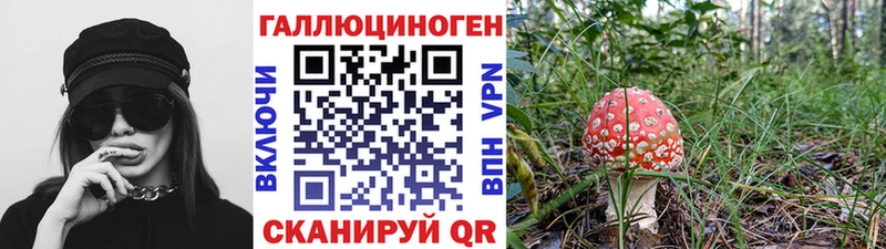 даркнет сайт  Липецк  Галлюциногенные грибы мицелий 
