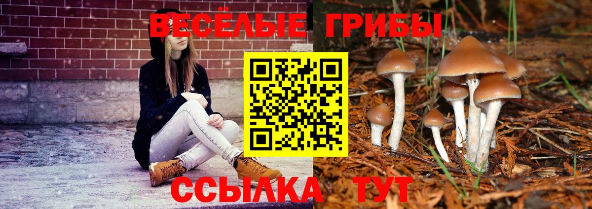 Псилоцибиновые грибы мухоморы Липецк